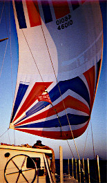 Click image for larger view
